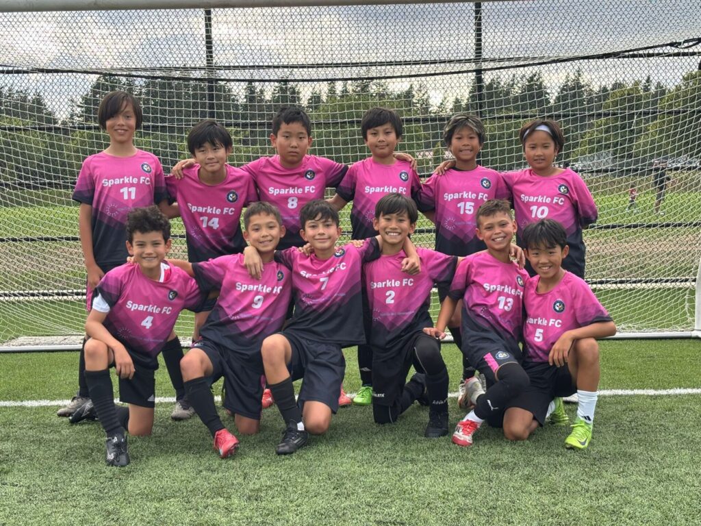 sparkle pink jersey